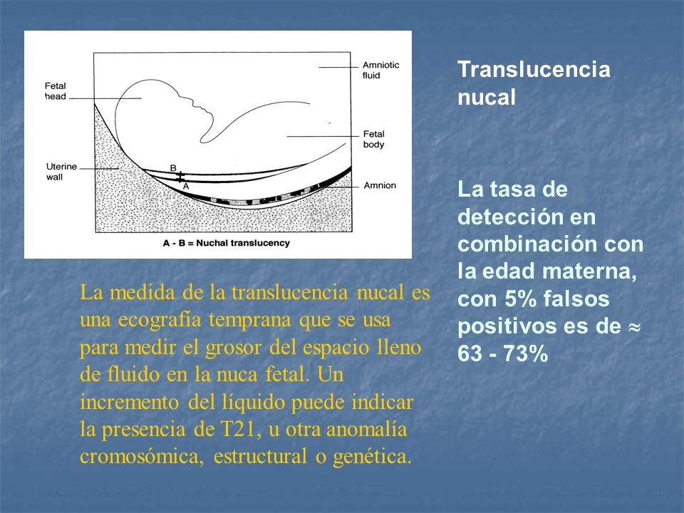 Translucencia nucal La tasa de detección en combinación con la edad materna, con 5% falsos positivos es de  %