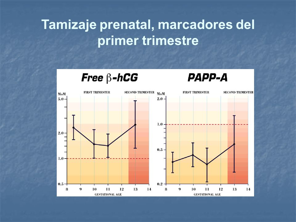 Tamizaje prenatal, marcadores del primer trimestre