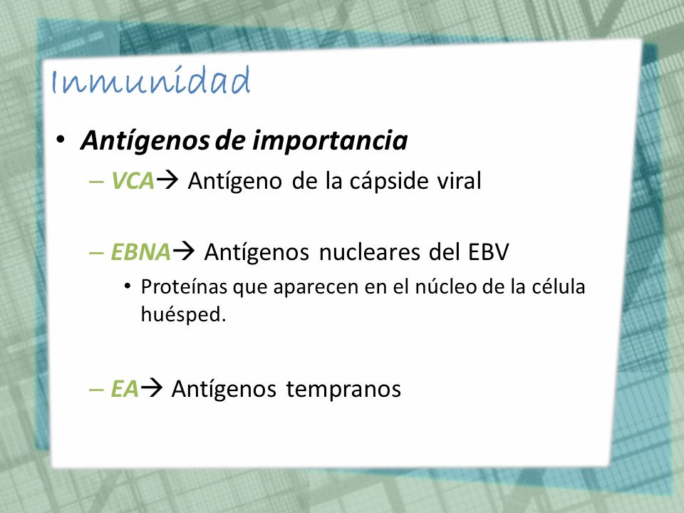 Inmunidad Antígenos de importancia VCA Antígeno de la cápside viral