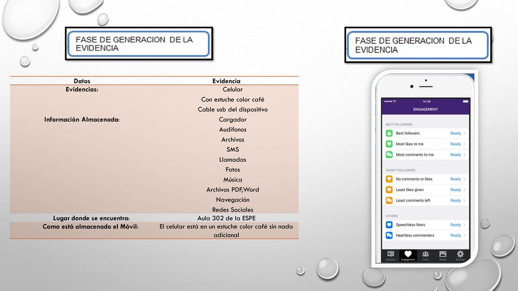 Información Almacenada: Celular Con estuche color café