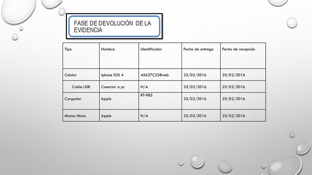 Tipo Nombre. Identificador. Fecha de entrega. Fecha de recepción. Celular. Iphone IOS C238web.
