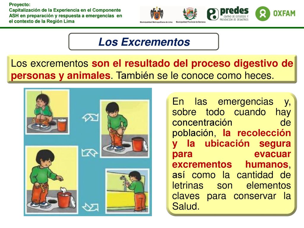Los Excrementos Los excrementos son el resultado del proceso digestivo de personas y animales. También se le conoce como heces.