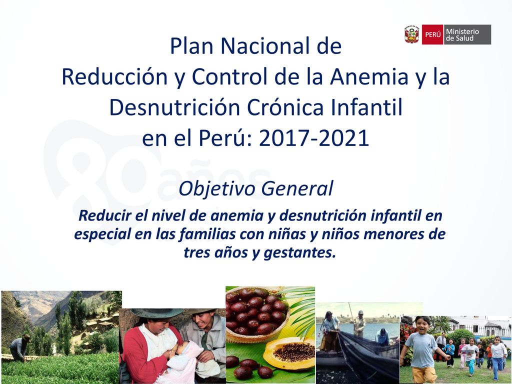 Reducción y Control de la Anemia y la Desnutrición Crónica Infantil