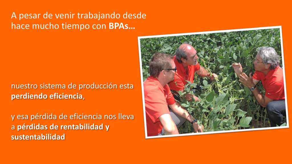 A pesar de venir trabajando desde hace mucho tiempo con BPAs…