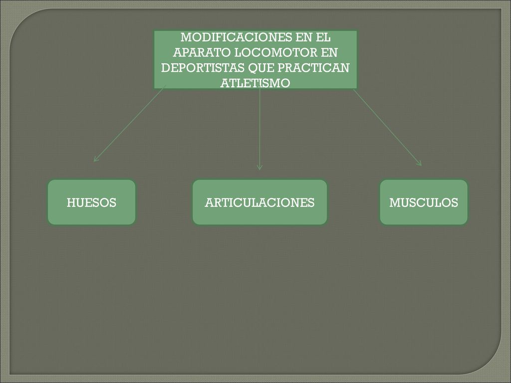 MODIFICACIONES EN EL APARATO LOCOMOTOR EN DEPORTISTAS QUE PRACTICAN ATLETISMO
