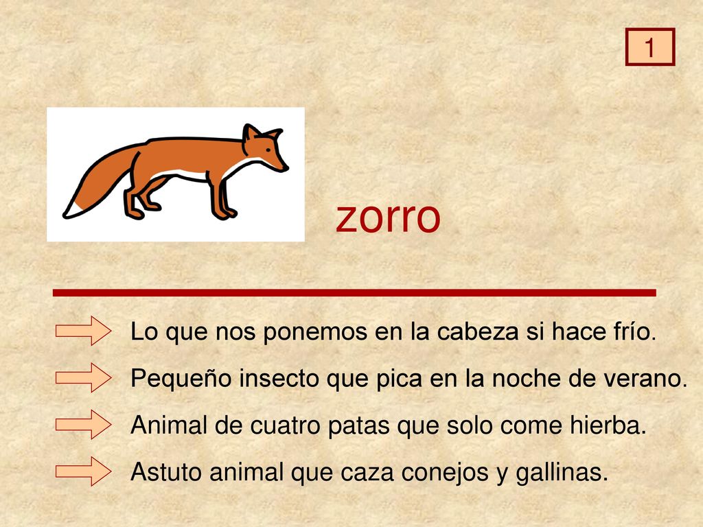 zorro 1 Lo que nos ponemos en la cabeza si hace frío.