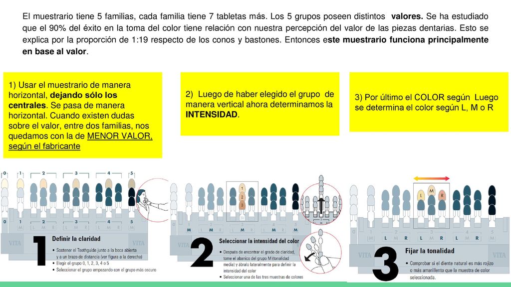 El muestrario tiene 5 familias, cada familia tiene 7 tabletas más