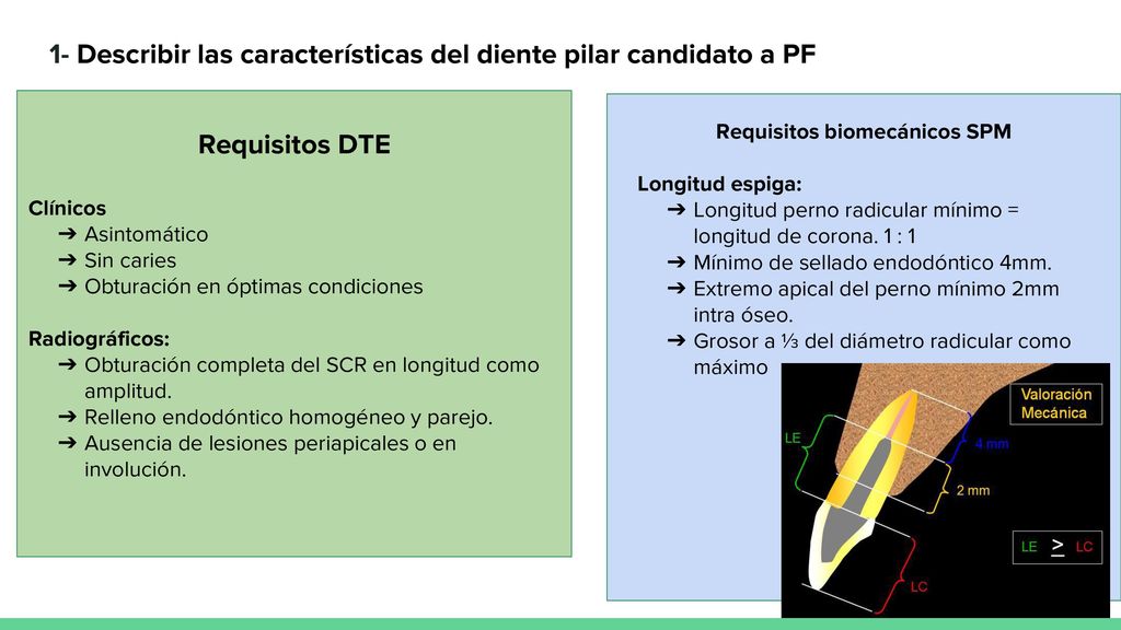 1- Describir las características del diente pilar candidato a PF