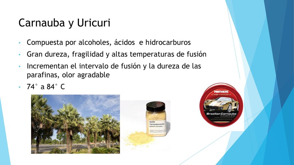 Carnauba y Uricuri Compuesta por alcoholes, ácidos e hidrocarburos