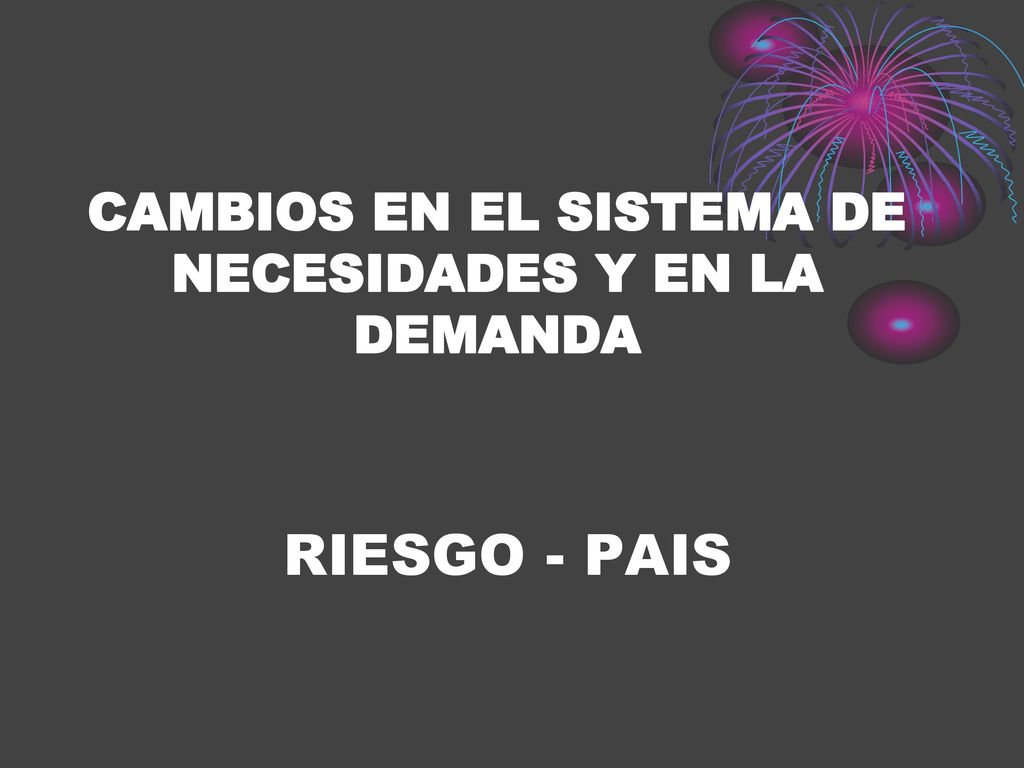 CAMBIOS EN EL SISTEMA DE NECESIDADES Y EN LA DEMANDA RIESGO - PAIS