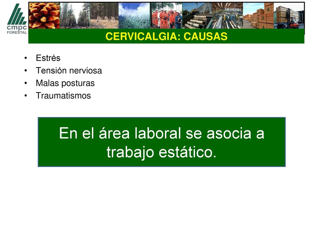 En el área laboral se asocia a trabajo estático.