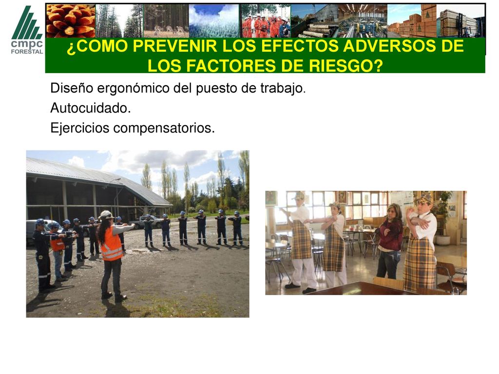 ¿COMO PREVENIR LOS EFECTOS ADVERSOS DE LOS FACTORES DE RIESGO