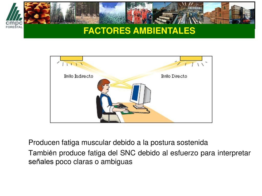 FACTORES AMBIENTALES Producen fatiga muscular debido a la postura sostenida.