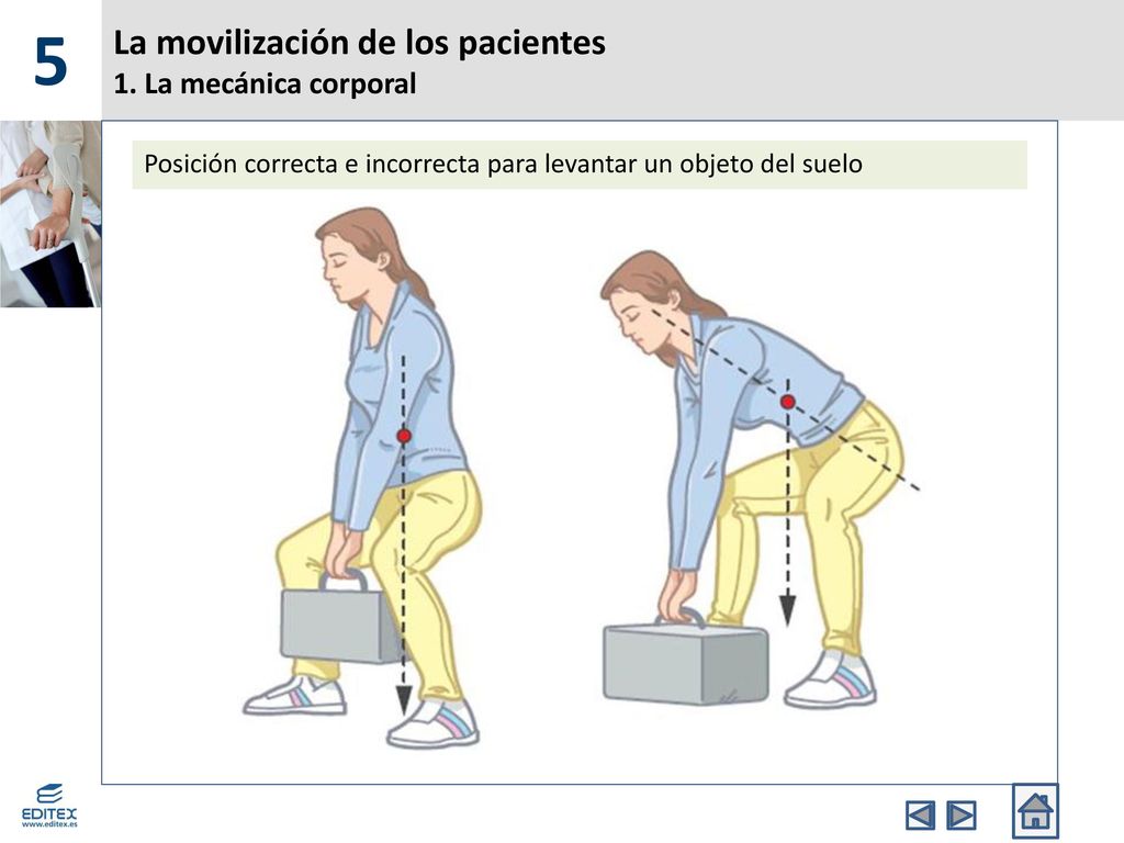 La movilización de los pacientes 1. La mecánica corporal