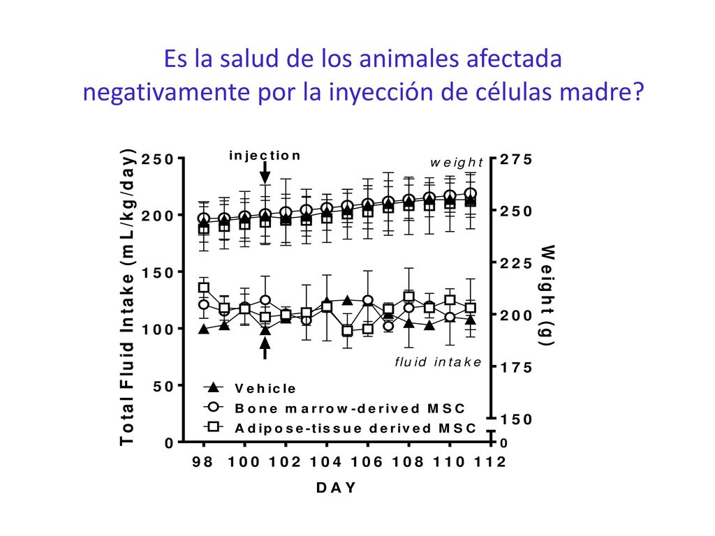 Es la salud de los animales afectada negativamente por la inyección de células madre