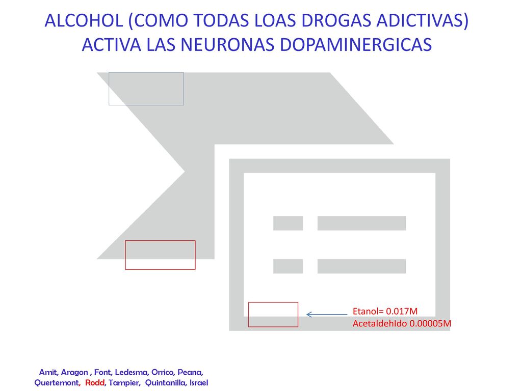 ALCOHOL (COMO TODAS LOAS DROGAS ADICTIVAS) ACTIVA LAS NEURONAS DOPAMINERGICAS