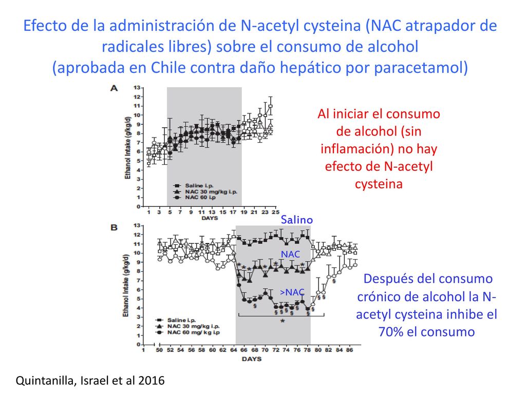 Efecto de la administración de N-acetyl cysteina (NAC atrapador de radicales libres) sobre el consumo de alcohol (aprobada en Chile contra daño hepático por paracetamol)