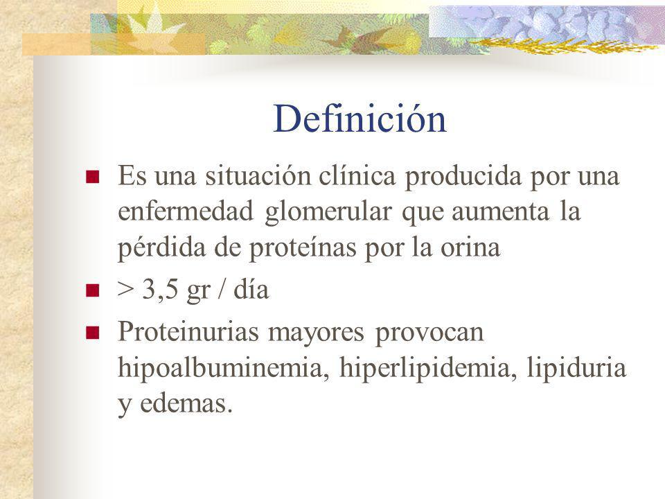 Definición Es una situación clínica producida por una enfermedad glomerular que aumenta la pérdida de proteínas por la orina.