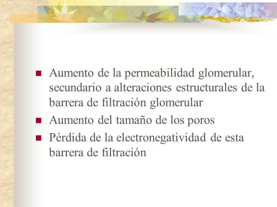 Aumento de la permeabilidad glomerular, secundario a alteraciones estructurales de la barrera de filtración glomerular