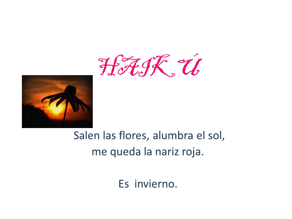 Salen las flores, alumbra el sol, me queda la nariz roja. Es invierno.