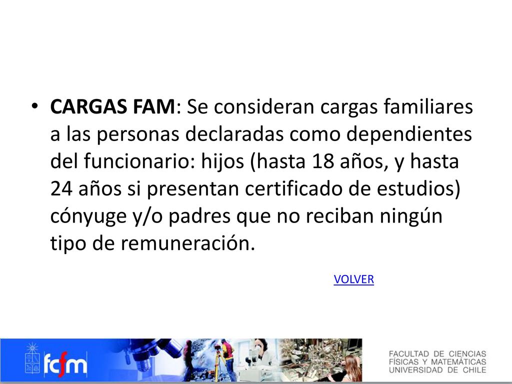 CARGAS FAM: Se consideran cargas familiares a las personas declaradas como dependientes del funcionario: hijos (hasta 18 años, y hasta 24 años si presentan certificado de estudios) cónyuge y/o padres que no reciban ningún tipo de remuneración.