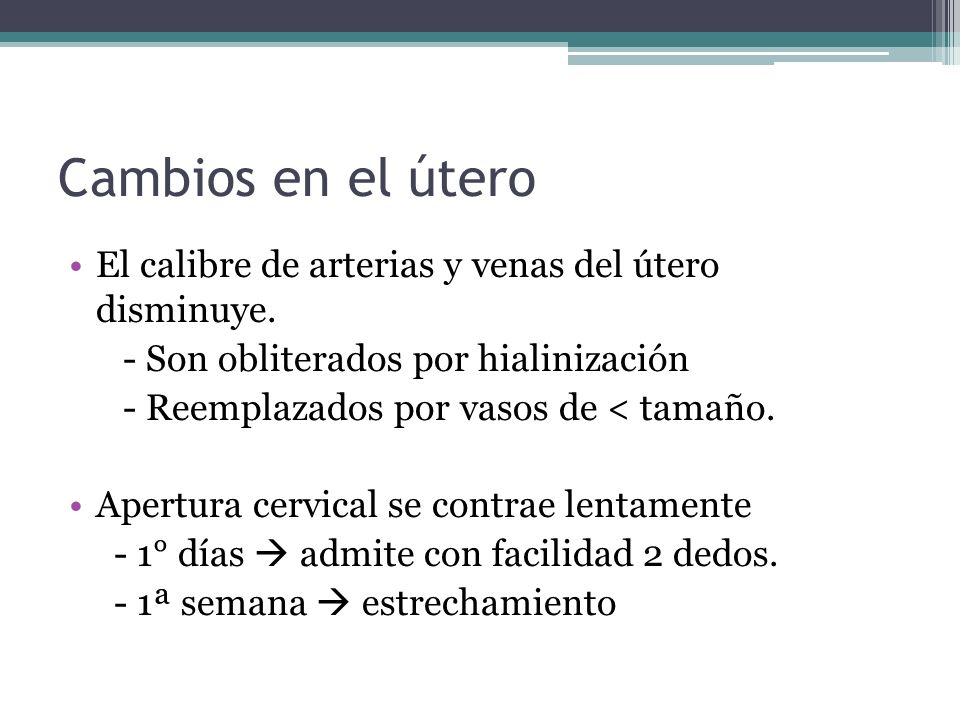 Cambios en el útero El calibre de arterias y venas del útero disminuye. - Son obliterados por hialinización.