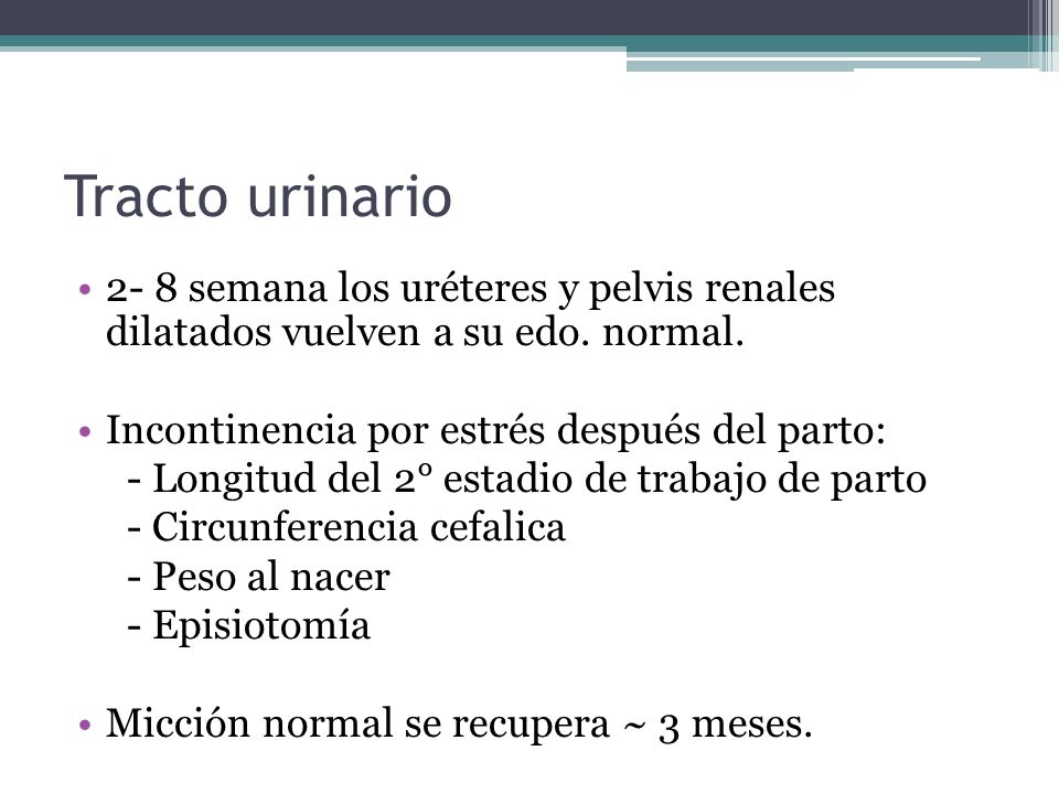 Tracto urinario 2- 8 semana los uréteres y pelvis renales dilatados vuelven a su edo. normal. Incontinencia por estrés después del parto: