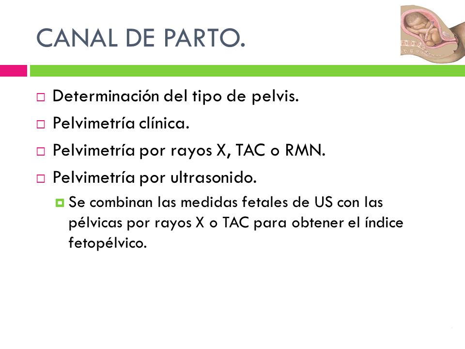 CANAL DE PARTO. Determinación del tipo de pelvis. Pelvimetría clínica.