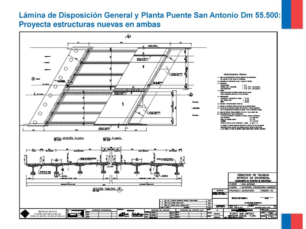 Lámina de Disposición General y Planta Puente San Antonio Dm :