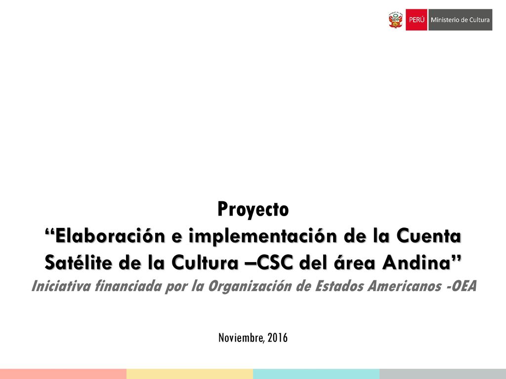 Iniciativa financiada por la Organización de Estados Americanos -OEA