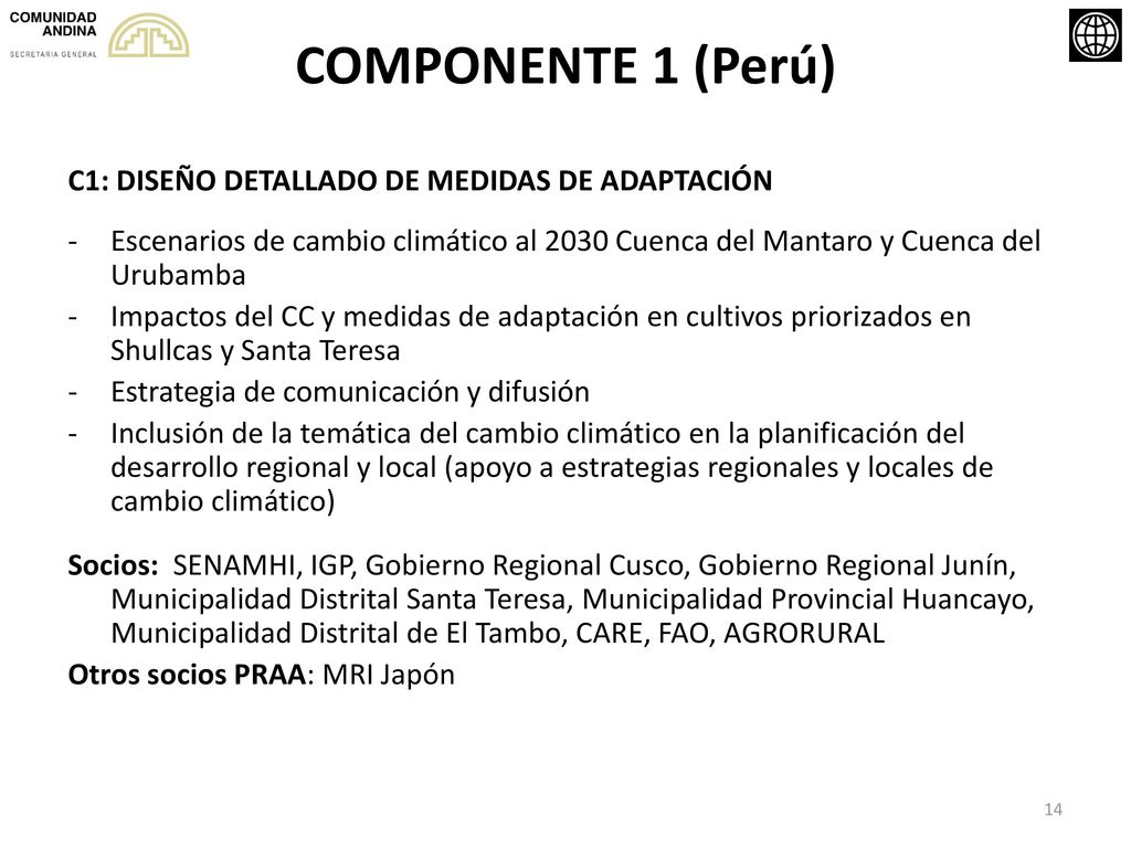 COMPONENTE 1 (Perú) C1: DISEÑO DETALLADO DE MEDIDAS DE ADAPTACIÓN