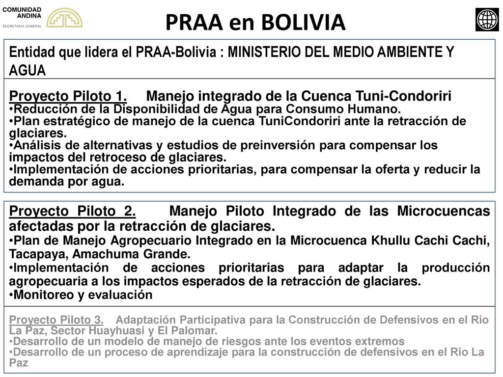 PRAA en BOLIVIA Entidad que lidera el PRAA-Bolivia : MINISTERIO DEL MEDIO AMBIENTE Y AGUA.