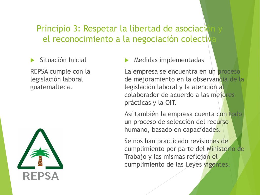 Principio 3: Respetar la libertad de asociación y el reconocimiento a la negociación colectiva