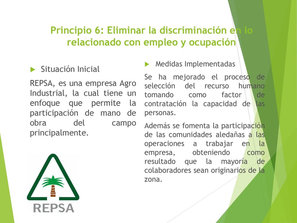 Principio 6: Eliminar la discriminación en lo relacionado con empleo y ocupación