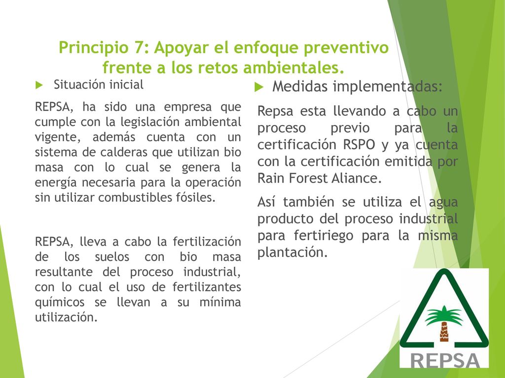 Principio 7: Apoyar el enfoque preventivo frente a los retos ambientales.