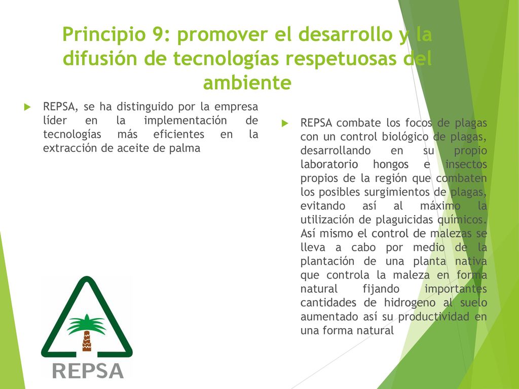 Principio 9: promover el desarrollo y la difusión de tecnologías respetuosas del ambiente