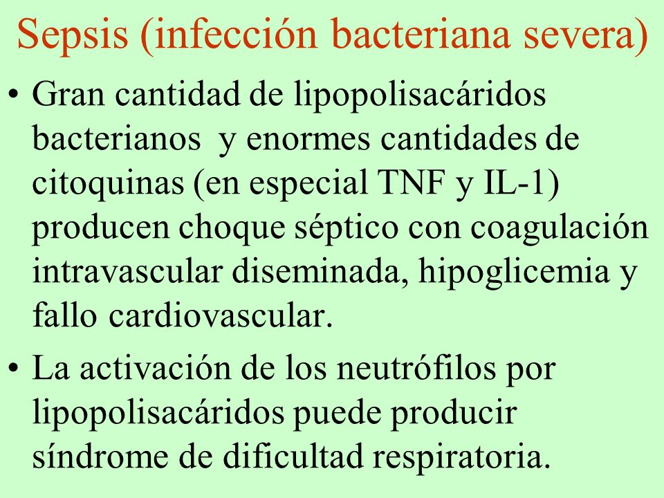 Sepsis (infección bacteriana severa)