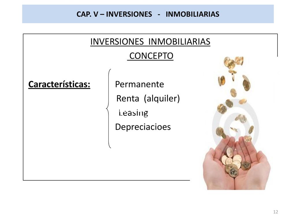 CAP. V – INVERSIONES - INMOBILIARIAS