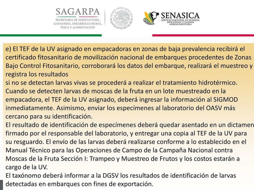 e) El TEF de la UV asignado en empacadoras en zonas de baja prevalencia recibirá el certificado fitosanitario de movilización nacional de embarques procedentes de Zonas Bajo Control Fitosanitario, corroborará los datos del embarque, realizará el muestreo y registra los resultados