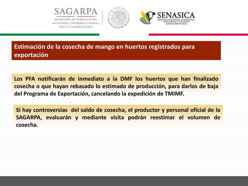 Estimación de la cosecha de mango en huertos registrados para exportación