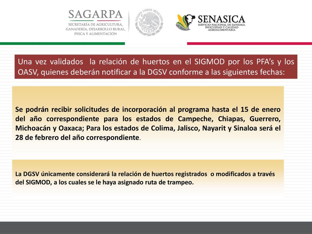 Una vez validados la relación de huertos en el SIGMOD por los PFA’s y los OASV, quienes deberán notificar a la DGSV conforme a las siguientes fechas: