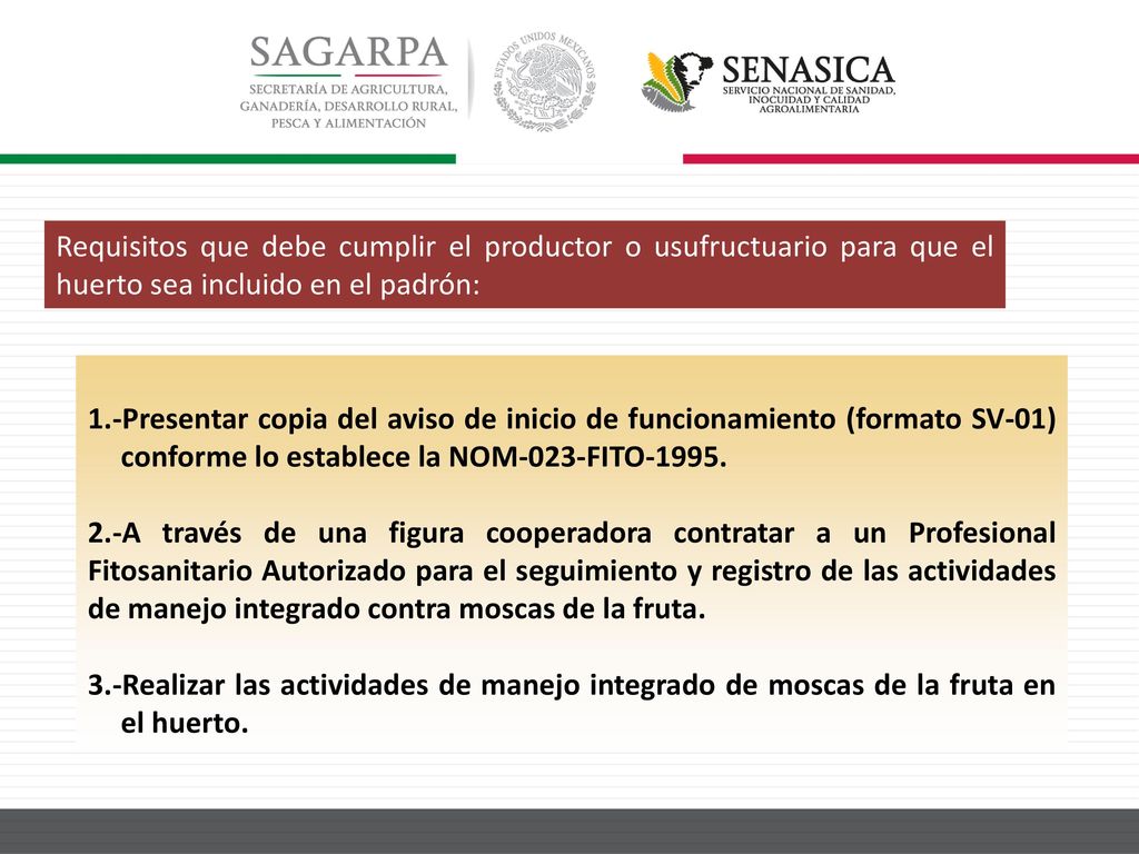 Requisitos que debe cumplir el productor o usufructuario para que el huerto sea incluido en el padrón: