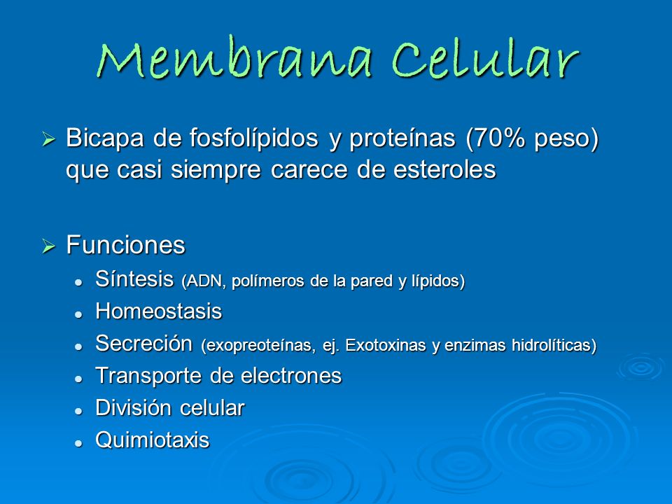 Membrana Celular Bicapa de fosfolípidos y proteínas (70% peso) que casi siempre carece de esteroles.