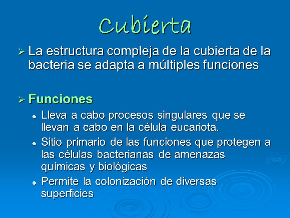 Cubierta La estructura compleja de la cubierta de la bacteria se adapta a múltiples funciones. Funciones.