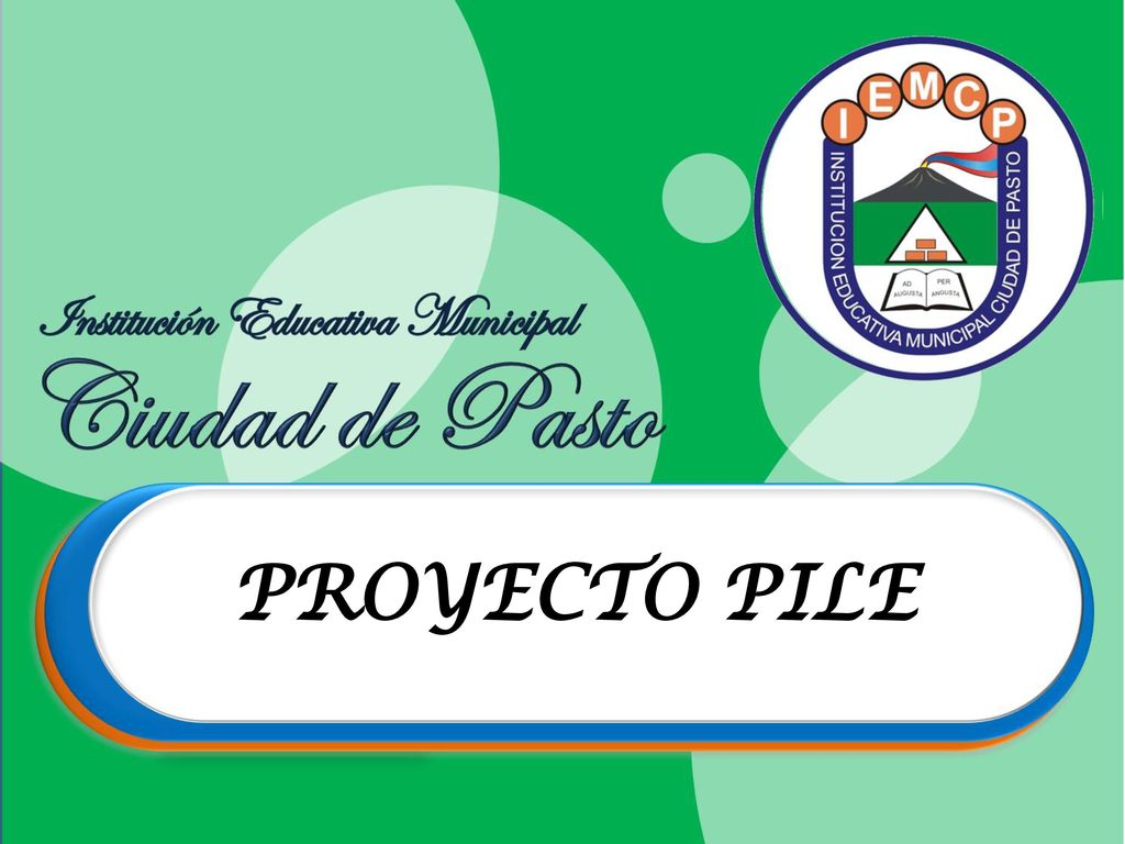 PROYECTO PILE