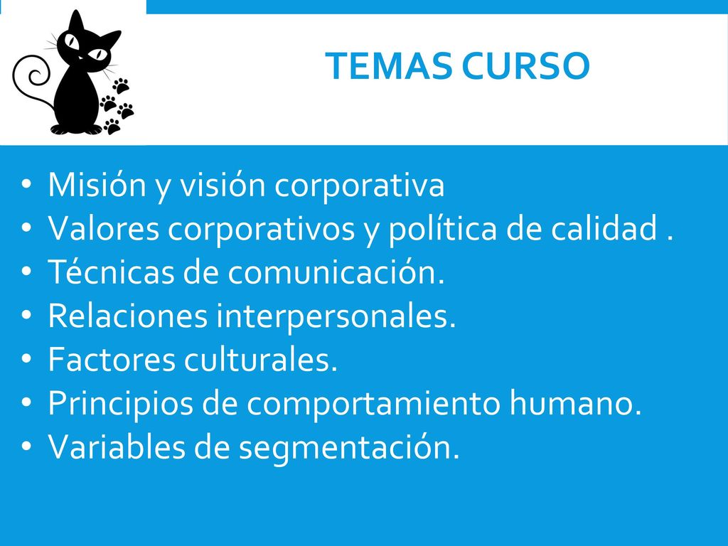 TEMAS CURSO Misión y visión corporativa