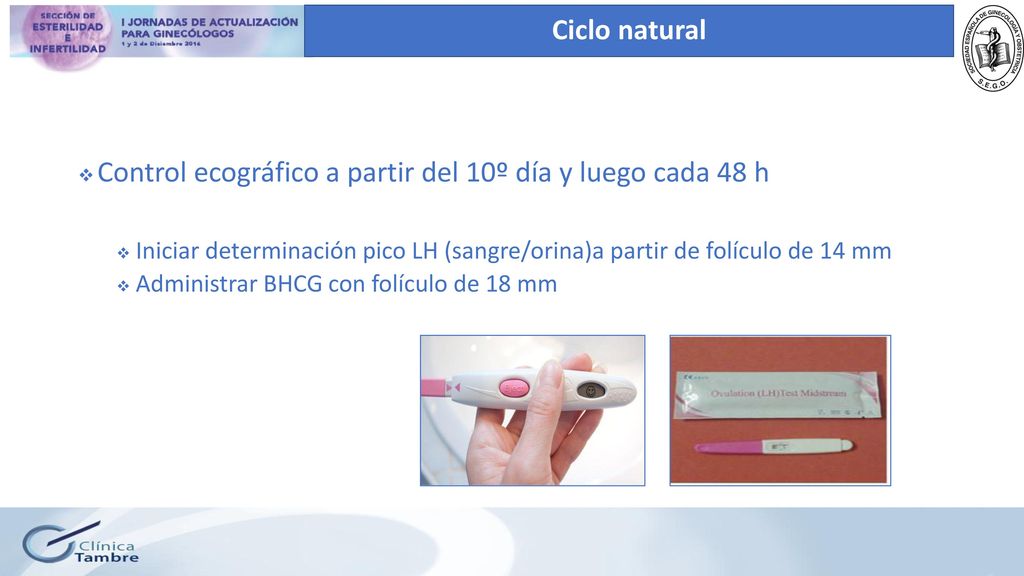 Control ecográfico a partir del 10º día y luego cada 48 h