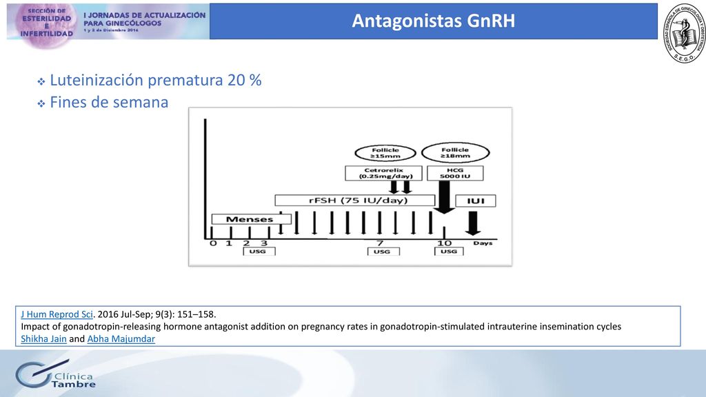 Antagonistas GnRH Luteinización prematura 20 % Fines de semana