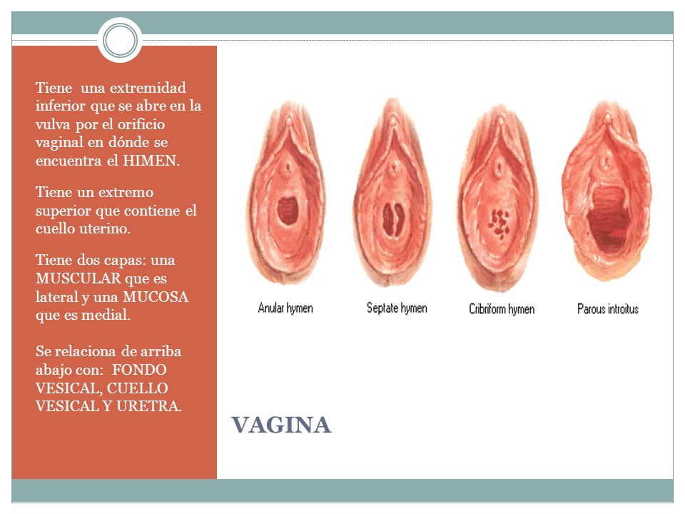 Hymen Buster