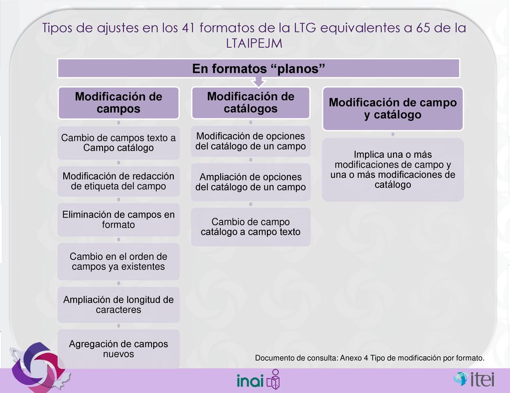 Tipos de ajustes en los 41 formatos de la LTG equivalentes a 65 de la LTAIPEJM